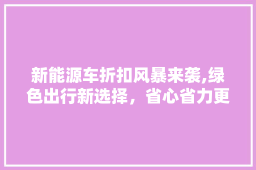 新能源车折扣风暴来袭,绿色出行新选择，省心省力更省钱