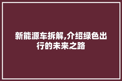 新能源车拆解,介绍绿色出行的未来之路