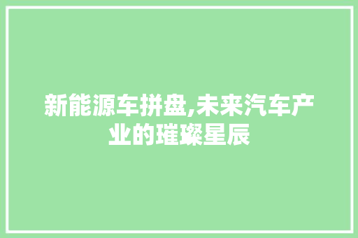 新能源车拼盘,未来汽车产业的璀璨星辰