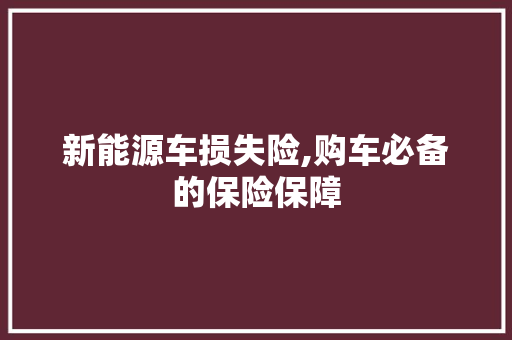 新能源车损失险,购车必备的保险保障