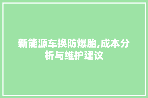 新能源车换防爆胎,成本分析与维护建议