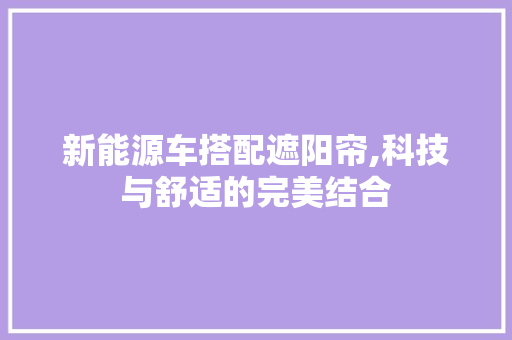 新能源车搭配遮阳帘,科技与舒适的完美结合