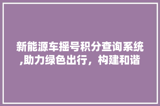 新能源车摇号积分查询系统,助力绿色出行，构建和谐城市