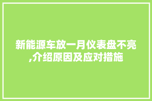 新能源车放一月仪表盘不亮,介绍原因及应对措施