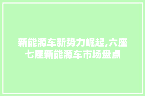 新能源车新势力崛起,六座七座新能源车市场盘点