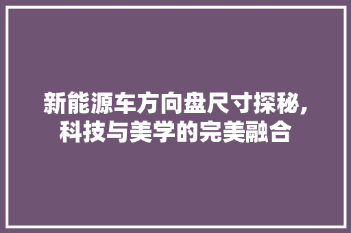 新能源车方向盘尺寸探秘,科技与美学的完美融合