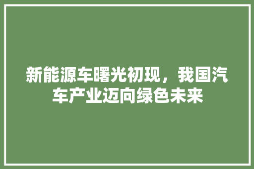 新能源车曙光初现，我国汽车产业迈向绿色未来