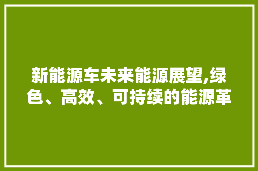 新能源车未来能源展望,绿色、高效、可持续的能源革命