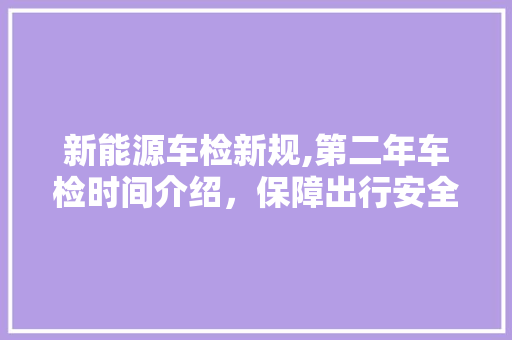 新能源车检新规,第二年车检时间介绍，保障出行安全