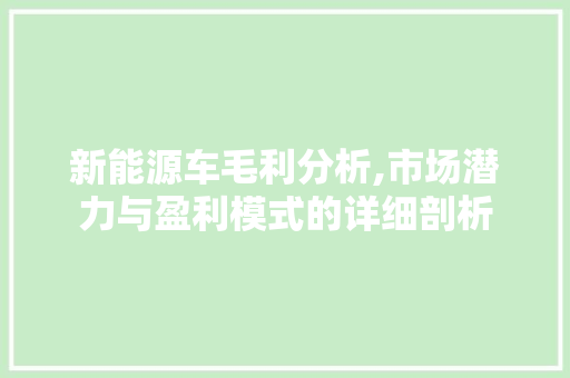 新能源车毛利分析,市场潜力与盈利模式的详细剖析