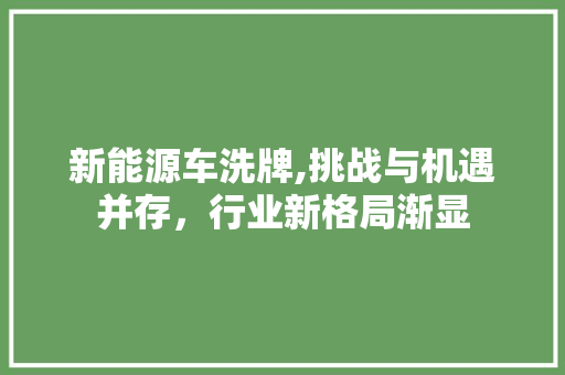 新能源车洗牌,挑战与机遇并存，行业新格局渐显