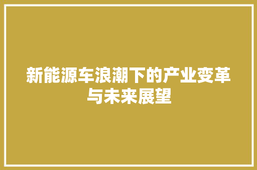 新能源车浪潮下的产业变革与未来展望