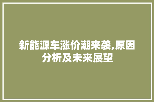 新能源车涨价潮来袭,原因分析及未来展望