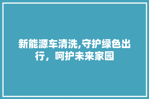 新能源车清洗,守护绿色出行，呵护未来家园