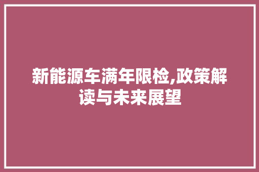 新能源车满年限检,政策解读与未来展望