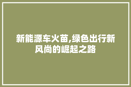 新能源车火苗,绿色出行新风尚的崛起之路