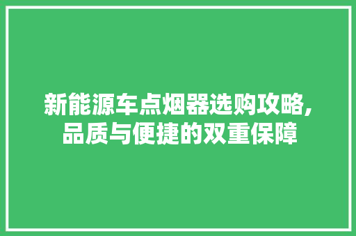 新能源车点烟器选购攻略,品质与便捷的双重保障