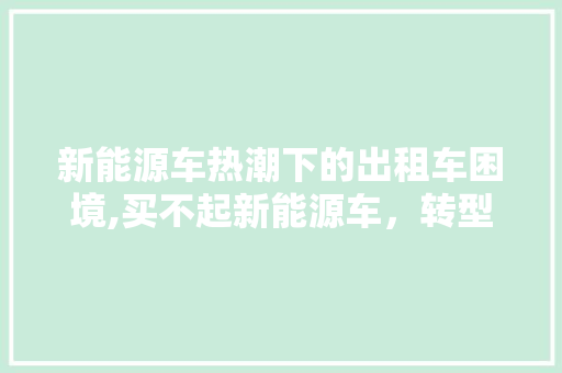 新能源车热潮下的出租车困境,买不起新能源车，转型路在何方