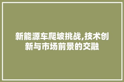 新能源车爬坡挑战,技术创新与市场前景的交融