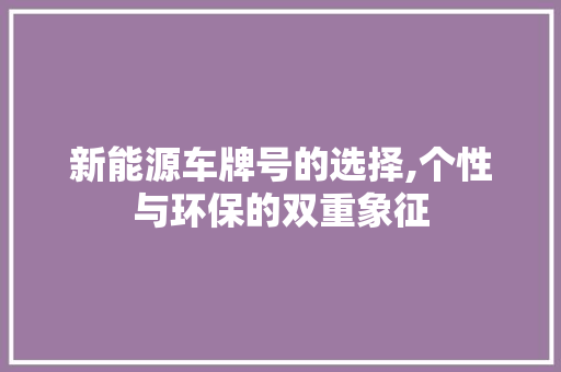 新能源车牌号的选择,个性与环保的双重象征