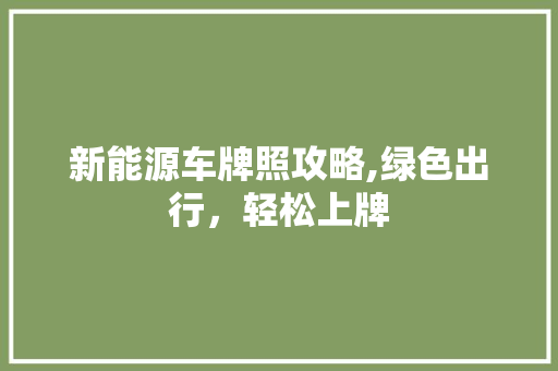 新能源车牌照攻略,绿色出行，轻松上牌