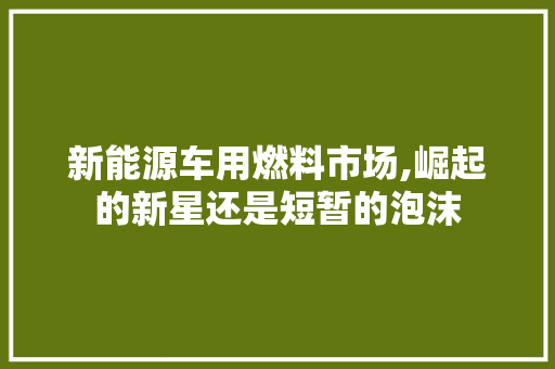 新能源车用燃料市场,崛起的新星还是短暂的泡沫