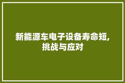 新能源车电子设备寿命短,挑战与应对