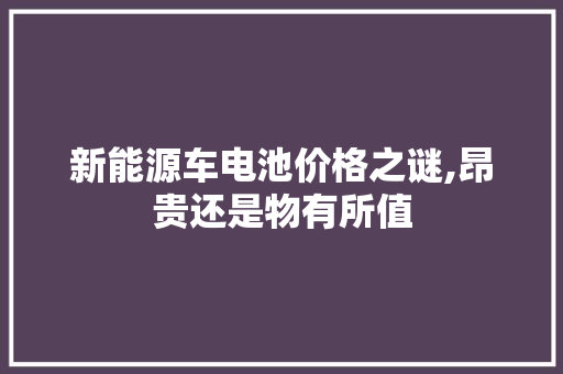 新能源车电池价格之谜,昂贵还是物有所值