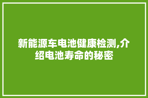 新能源车电池健康检测,介绍电池寿命的秘密