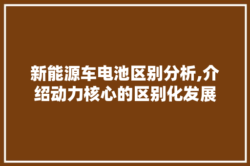 新能源车电池区别分析,介绍动力核心的区别化发展