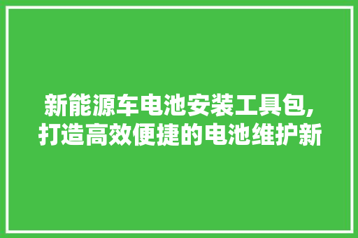 新能源车电池安装工具包,打造高效便捷的电池维护新时代