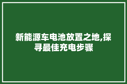 新能源车电池放置之地,探寻最佳充电步骤