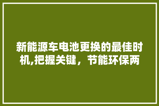 新能源车电池更换的最佳时机,把握关键，节能环保两不误