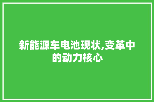 新能源车电池现状,变革中的动力核心