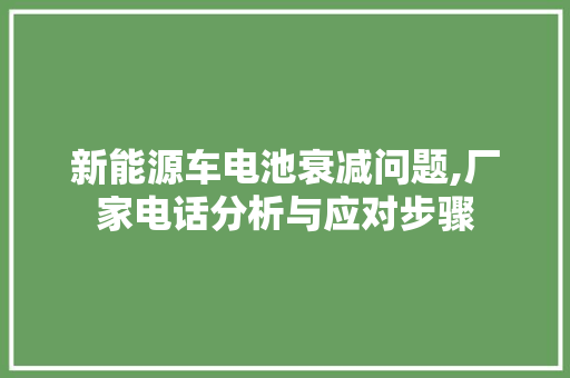 新能源车电池衰减问题,厂家电话分析与应对步骤