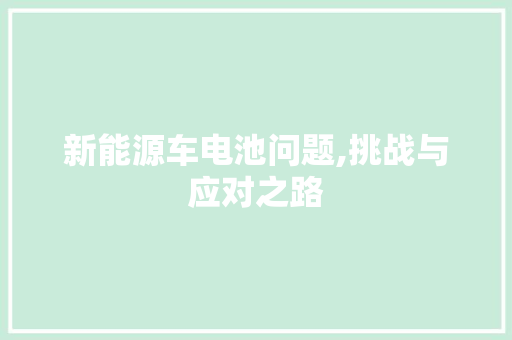 新能源车电池问题,挑战与应对之路