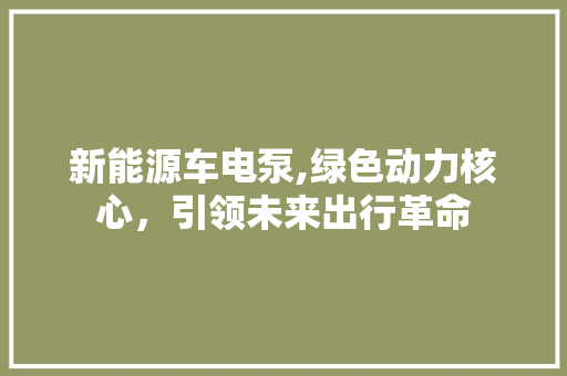 新能源车电泵,绿色动力核心，引领未来出行革命