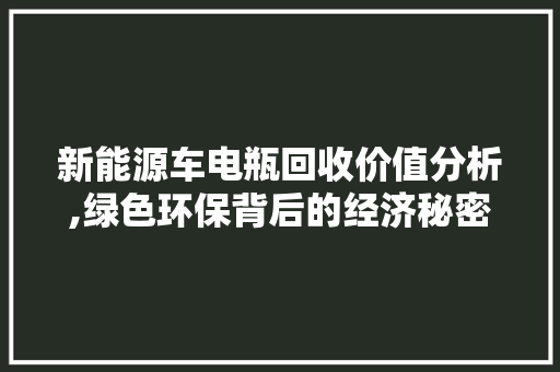 新能源车电瓶回收价值分析,绿色环保背后的经济秘密