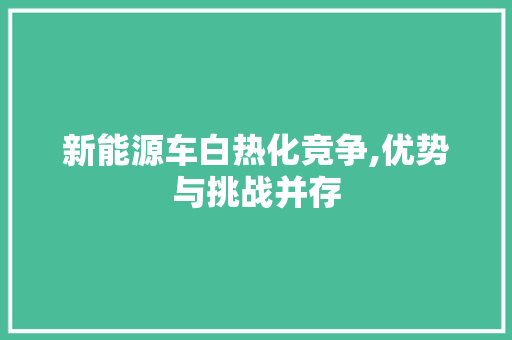 新能源车白热化竞争,优势与挑战并存