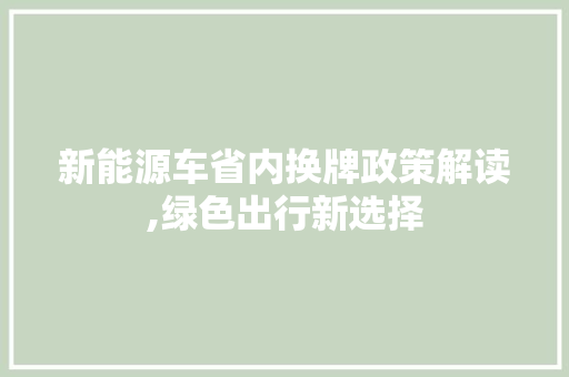 新能源车省内换牌政策解读,绿色出行新选择