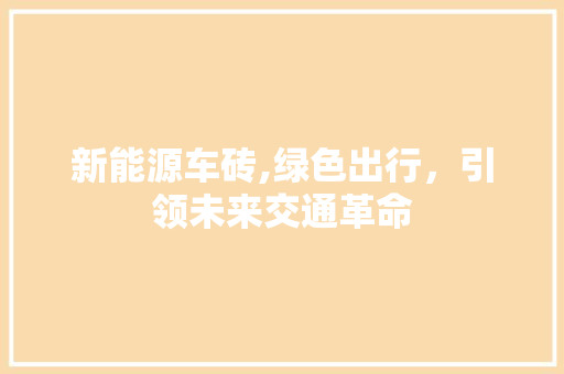 新能源车砖,绿色出行，引领未来交通革命