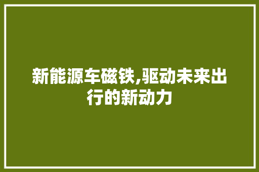 新能源车磁铁,驱动未来出行的新动力