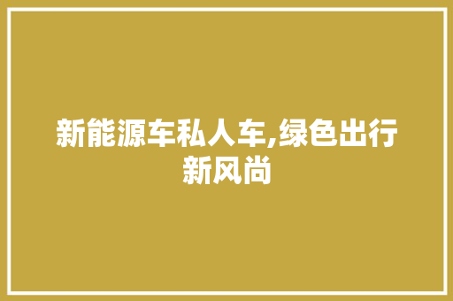 新能源车私人车,绿色出行新风尚  第1张