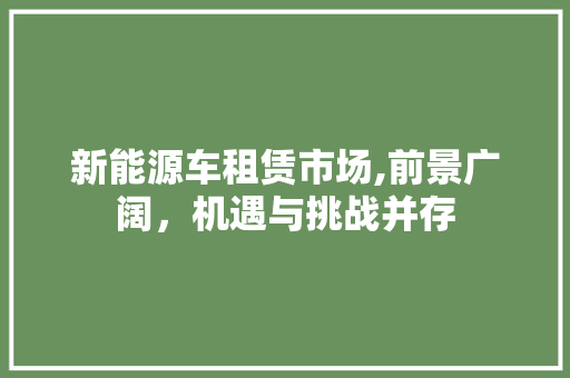 新能源车租赁市场,前景广阔，机遇与挑战并存