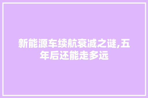 新能源车续航衰减之谜,五年后还能走多远