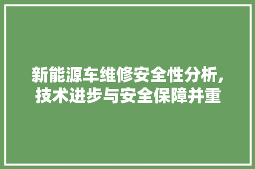 新能源车维修安全性分析,技术进步与安全保障并重