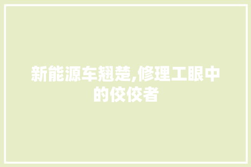 新能源车翘楚,修理工眼中的佼佼者