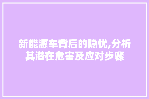 新能源车背后的隐忧,分析其潜在危害及应对步骤