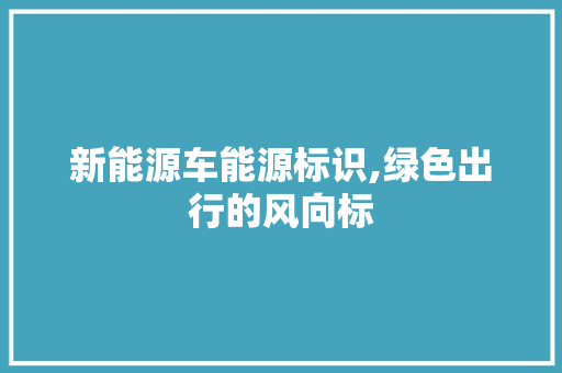 新能源车能源标识,绿色出行的风向标