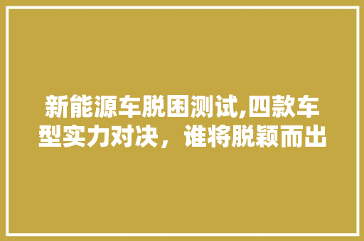 新能源车脱困测试,四款车型实力对决，谁将脱颖而出